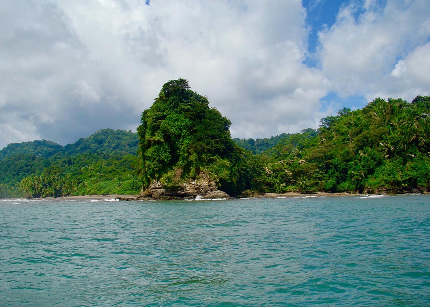 Where to catch roosterfish when fishing in Panama. Best fishing in Panama for inshore fish